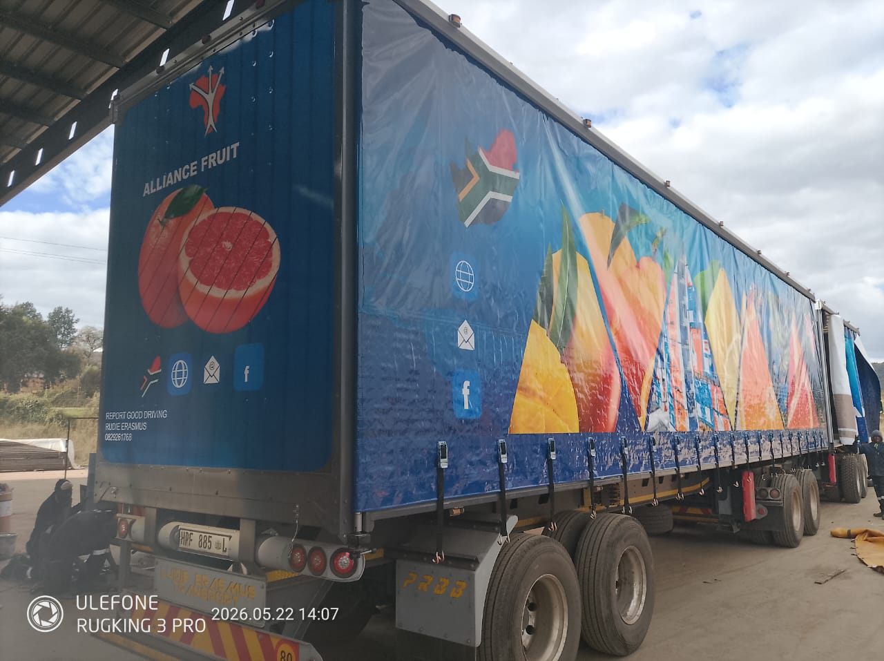 Alliance Fruit 6